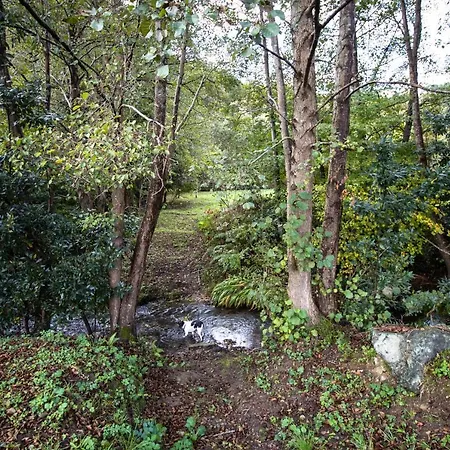 Araize Casa rural *