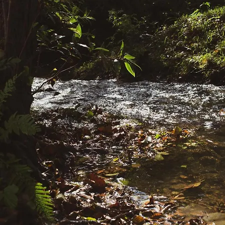 Araize Séjour à la campagne