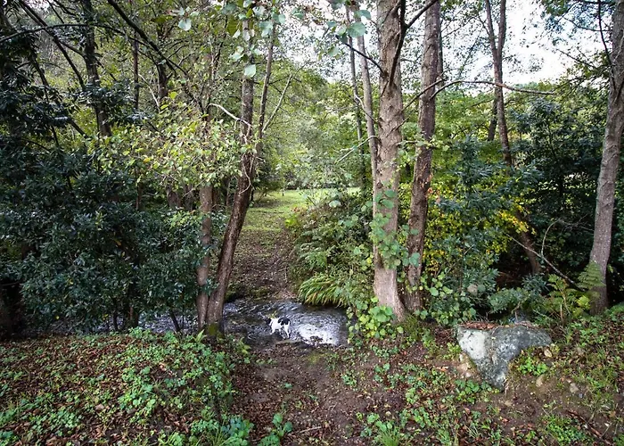 Araize Country house *