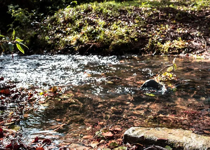 Araize Country house *