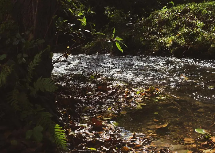 Araize Country house