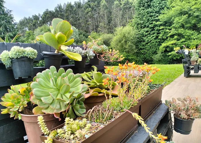 Country house Araize *