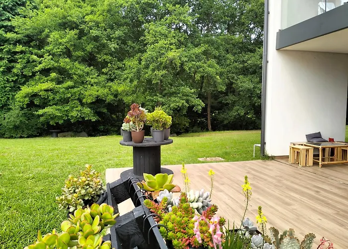 Araize Country house Mungia